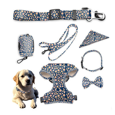 comprar Conjunto de arnês e coleira de cão respirável Fabricação em linha