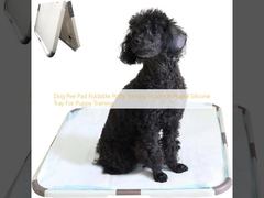 Cachorro Piss Pad Foldable Potty Training Holder portavel bandeja de silicone para treinamento de cachorro