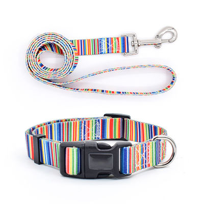 Acessórios para animais de estimação colares personalizados colares de cão Perro design personalizado logotipo personalizado