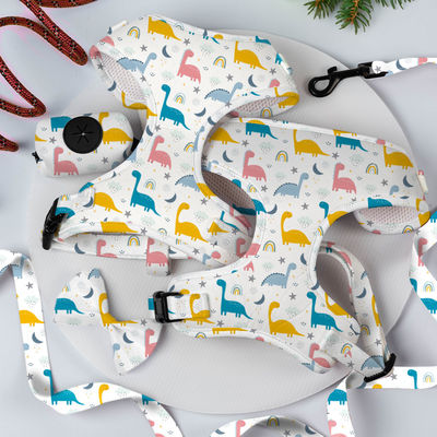 Conjunto de arnês e coleira reversível para cães pequenos