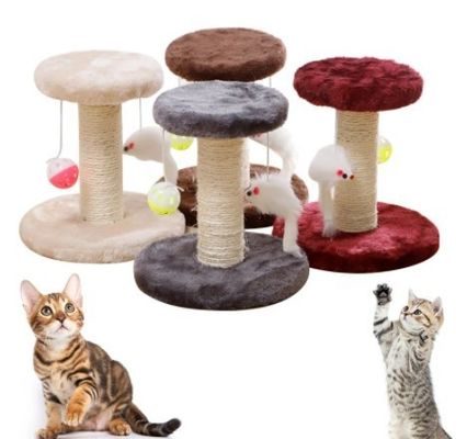 Gatos de Natal raspando postes de madeira sólida Gatos vermelhos castanhos raspando poste