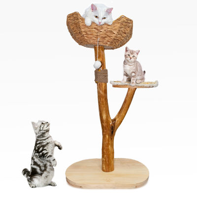 Torre de gatos de madeira natural de vários níveis Design moderno para fácil escalada de gatos pequenos e velhos