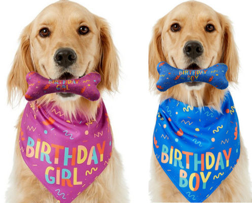 Cão Aniversário Empilhados Ocasião Bandana Ossos Mastigar Joguinho Conjunto de Animais de estimação Custom Printed Bandanas